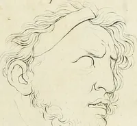 Picture 42 of 266 from Essai sur la physiognomonie : destiné a faire connoître l'homme & à le faire aimer (1781), leaf 110
