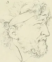An illustration from Essai sur la physiognomonie : destiné a faire connoître l'homme & à le faire aimer (1781)