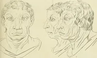 Picture 63 of 266 from Essai sur la physiognomonie : destiné a faire connoître l'homme & à le faire aimer (1781), leaf 150