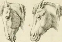 Picture 85 of 266 from Essai sur la physiognomonie : destiné a faire connoître l'homme & à le faire aimer (1781), leaf 163