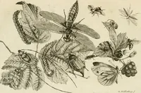 Picture 96 of 266 from Essai sur la physiognomonie : destiné a faire connoître l'homme & à le faire aimer (1781), leaf 175
