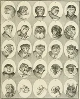 Picture 99 of 266 from Essai sur la physiognomonie : destiné a faire connoître l'homme & à le faire aimer (1781), leaf 182