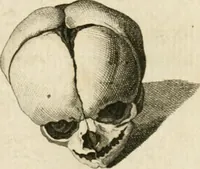 Picture 104 of 266 from Essai sur la physiognomonie : destiné a faire connoître l'homme & à le faire aimer (1781), leaf 203