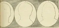 Picture 117 of 266 from Essai sur la physiognomonie : destiné a faire connoître l'homme & à le faire aimer (1781), leaf 218