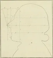 Picture 149 of 266 from Essai sur la physiognomonie : destiné a faire connoître l'homme & à le faire aimer (1781), leaf 282