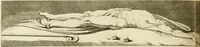 Picture 187 of 266 from Essai sur la physiognomonie : destiné a faire connoître l'homme & à le faire aimer (1781), leaf 381