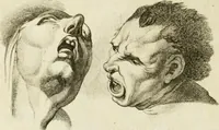 Picture 193 of 266 from Essai sur la physiognomonie : destiné a faire connoître l'homme & à le faire aimer (1781), leaf 385