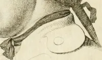 Picture 210 of 266 from Essai sur la physiognomonie : destiné a faire connoître l'homme & à le faire aimer (1781), leaf 409