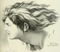 Picture 230 of 266 from Essai sur la physiognomonie : destiné a faire connoître l'homme & à le faire aimer (1781), leaf 434