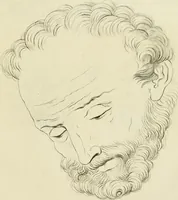Picture 236 of 266 from Essai sur la physiognomonie : destiné a faire connoître l'homme & à le faire aimer (1781), leaf 444