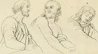 Picture 244 of 266 from Essai sur la physiognomonie : destiné a faire connoître l'homme & à le faire aimer (1781), leaf 457