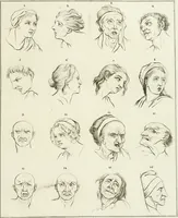 Picture 35 of 266 from Essai sur la physiognomonie : destiné a faire connoître l'homme & à le faire aimer (1781), leaf 96