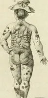 An illustration from Essai sur la physiognomonie : destiné a faire connoître l'homme & à le faire aimer (1781)