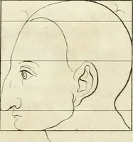 An illustration from Essai sur la physiognomonie : destiné a faire connoître l'homme & à le faire aimer (1781)
