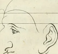 An illustration from Essai sur la physiognomonie : destiné a faire connoître l'homme & à le faire aimer (1781)
