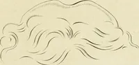 An illustration from Essai sur la physiognomonie : destiné a faire connoître l'homme & à le faire aimer (1781)