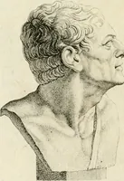An illustration from Essai sur la physiognomonie : destiné a faire connoître l'homme & à le faire aimer (1781)