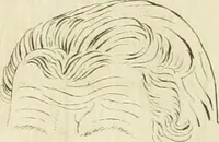 An illustration from Essai sur la physiognomonie : destiné a faire connoître l'homme & à le faire aimer (1781)