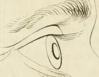 An illustration from Essai sur la physiognomonie : destiné a faire connoître l'homme & à le faire aimer (1781)