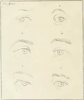 An illustration from Essai sur la physiognomonie : destiné a faire connoître l'homme & à le faire aimer (1781)