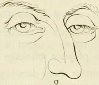 An illustration from Essai sur la physiognomonie : destiné a faire connoître l'homme & à le faire aimer (1781)