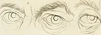 An illustration from Essai sur la physiognomonie : destiné a faire connoître l'homme & à le faire aimer (1781)