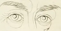 An illustration from Essai sur la physiognomonie : destiné a faire connoître l'homme & à le faire aimer (1781)