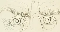 An illustration from Essai sur la physiognomonie : destiné a faire connoître l'homme & à le faire aimer (1781)