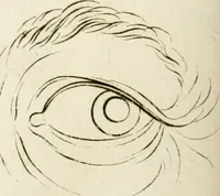 An illustration from Essai sur la physiognomonie : destiné a faire connoître l'homme & à le faire aimer (1781)