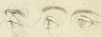 An illustration from Essai sur la physiognomonie : destiné a faire connoître l'homme & à le faire aimer (1781)