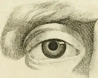 Picture 170 of 237 from Essai sur la physiognomonie : destiné a faire connoître l'homme & à le faire aimer (1781), leaf 354