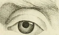 An illustration from Essai sur la physiognomonie : destiné a faire connoître l'homme & à le faire aimer (1781)