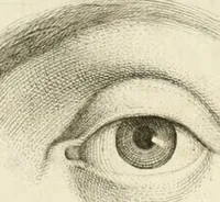 An illustration from Essai sur la physiognomonie : destiné a faire connoître l'homme & à le faire aimer (1781)