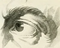 An illustration from Essai sur la physiognomonie : destiné a faire connoître l'homme & à le faire aimer (1781)