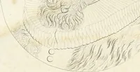 Picture 5 of 237 from Essai sur la physiognomonie : destiné a faire connoître l'homme & à le faire aimer (1781), leaf 37