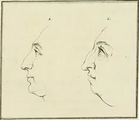 An illustration from Essai sur la physiognomonie : destiné a faire connoître l'homme & à le faire aimer (1781)