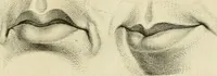 An illustration from Essai sur la physiognomonie : destiné a faire connoître l'homme & à le faire aimer (1781)