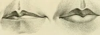 An illustration from Essai sur la physiognomonie : destiné a faire connoître l'homme & à le faire aimer (1781)