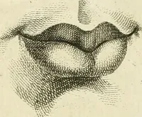 An illustration from Essai sur la physiognomonie : destiné a faire connoître l'homme & à le faire aimer (1781)