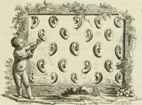 Picture 218 of 237 from Essai sur la physiognomonie : destiné a faire connoître l'homme & à le faire aimer (1781), leaf 430