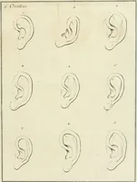 An illustration from Essai sur la physiognomonie : destiné a faire connoître l'homme & à le faire aimer (1781)