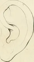 An illustration from Essai sur la physiognomonie : destiné a faire connoître l'homme & à le faire aimer (1781)