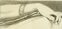 Picture 228 of 237 from Essai sur la physiognomonie : destiné a faire connoître l'homme & à le faire aimer (1781), leaf 446