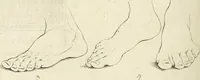An illustration from Essai sur la physiognomonie : destiné a faire connoître l'homme & à le faire aimer (1781)