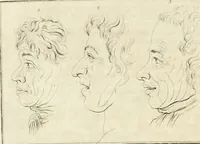 An illustration from Essai sur la physiognomonie : destiné a faire connoître l'homme & à le faire aimer (1781)
