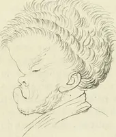 An illustration from Essai sur la physiognomonie : destiné a faire connoître l'homme & à le faire aimer (1781)