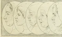 An illustration from Essai sur la physiognomonie : destiné a faire connoître l'homme & à le faire aimer (1781)