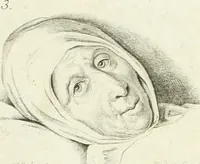 An illustration from Essai sur la physiognomonie : destiné a faire connoître l'homme & à le faire aimer (1781)