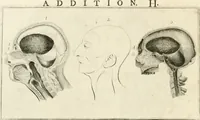Picture 16 of 184 from Essai sur la physiognomonie : destiné a faire connoître l'homme & à le faire aimer (1781), leaf 29