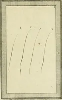 Picture 126 of 184 from Essai sur la physiognomonie : destiné a faire connoître l'homme & à le faire aimer (1781), leaf 338